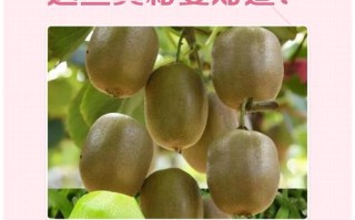 孕期血糖高能吃猕猴桃吗？