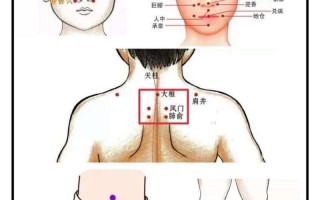 儿童鼻子不通艾灸哪些穴位最安全有效？具体位置和操作方法是什么？