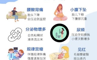 孕期营养监测真的有必要吗？不做会有哪些潜在风险？
