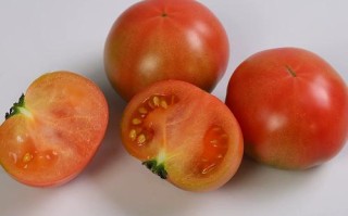 孕期可以生吃西红柿吗