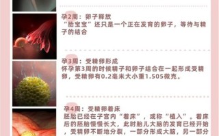 孕期40周全程贴心伴侣，具体如何贴心？