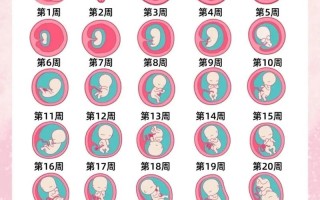 孕期乳房一般从什么时候开始发育？发育过程会有哪些明显变化？