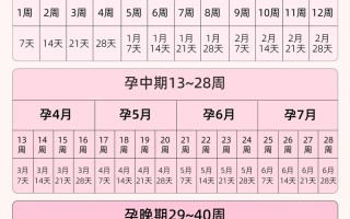 孕期周数和月份怎么算？