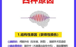 儿童癫痫的复杂病因究竟包括哪些关键因素？