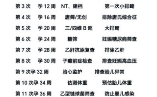 孕期检查有哪些关键项目？