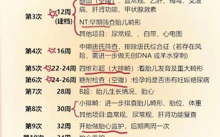 孕期产检到底要查多少次？不同阶段有哪些关键检查不能漏？