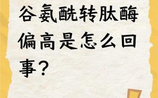 新生儿谷氨酰转肽酶偏高的原因