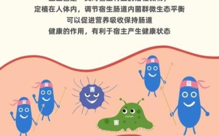 儿童便秘吃益生菌真的有用吗？效果和注意事项有哪些？