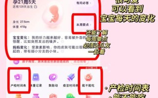 怀孕了用哪个孕期软件