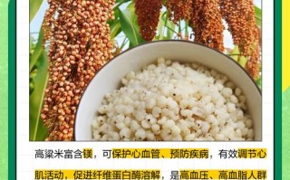 怀孕期间可以吃高粱吗