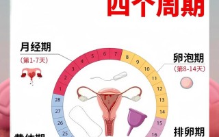 女孩受孕期到底在什么时候？排卵期前后几天最容易受孕吗？