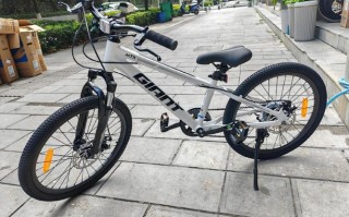 儿童自行车品牌怎么选？安全耐用又有趣的品牌有哪些？