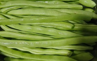 孕期吃了没炒熟的芸豆