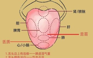 新生儿舌苔厚白发黄是正常现象吗？需要干预吗？