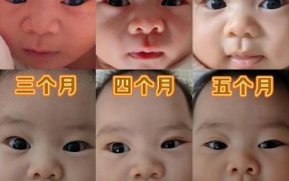 新生儿出生后眼睛视力发育过程是怎样的？多久才能清晰看见周围事物？