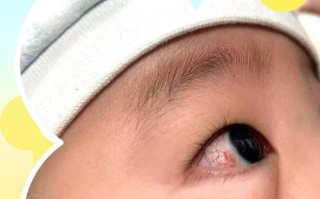 新生儿出生几天眼睛能看见东西？