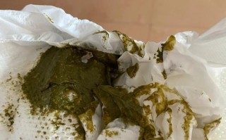 新生儿拉粑粑是颗粒的