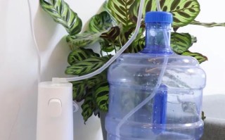 孕期长期饮用饮水机的水，会对胎儿健康造成潜在风险吗？