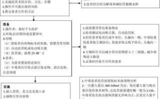 新生儿插胃管操作流程的关键步骤与注意事项有哪些？