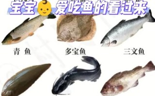 儿童吃什么鱼没有鱼刺？哪些适合宝宝安全食用？