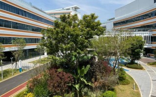 福建省哪家儿童医院综合实力最强，专科特色又最突出？