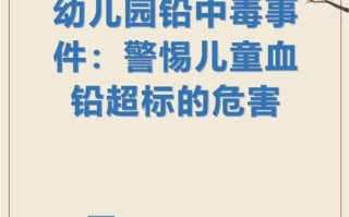 儿童铅超标对健康到底有哪些不可逆的伤害？家长该如何科学应对？