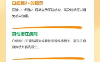 孕期尿常规尿白细胞2+需要担心吗？对胎儿有影响吗？