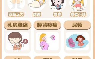 怀孕期间都有哪些症状