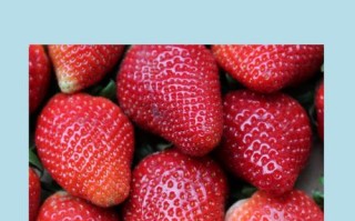 孕期血糖高到底能不能吃草莓？吃多少才安全？会不会影响血糖波动？