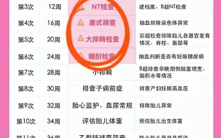 孕妇整个孕期需要做哪些检查项目？不同阶段检查重点有何差异？
