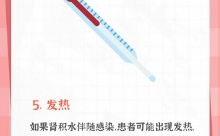 孕期肾积水常见症状有哪些？腰酸背痛、尿频尿急、下肢水肿是否需警惕？