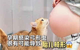弓形虫 孕期检查时间