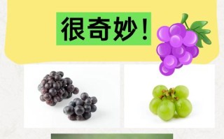 儿童发烧时吃葡萄到底合适吗？会不会影响体温恢复或加重肠胃负担？