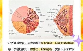 孕期怎么看有没有奶水