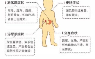 新生儿蚕豆病黄疸危害有多大？家长该如何科学应对与预防？