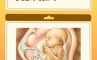 孕期37周胎儿发育图