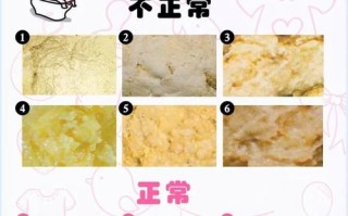 新生儿拉大便臭正常吗