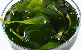 备孕期间吃海带到底行不行？对胎儿发育会有影响吗？