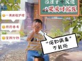 新生儿宝宝发烧又拉肚子，是感染还是护理不当？该怎么办？