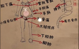 孕期胯骨疼是正常生理反应还是疾病信号？如何缓解才安全？