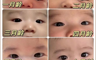 新生儿眼睛是不是都小？为什么有些宝宝眼睛大，有些却偏小？