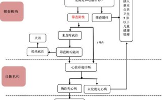新生儿疾病筛查实施方案具体包含哪些关键筛查项目与执行流程？