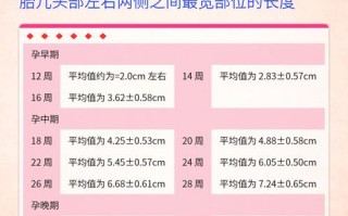 孕期双顶径股骨长标准