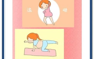 备孕期间如何科学运动？这些注意事项准爸妈都该知道！