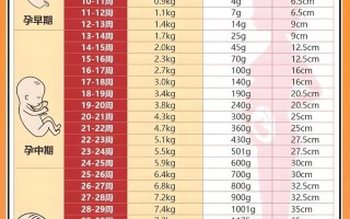 孕期中期体重下降正常吗？需要担心吗？