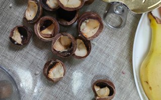 孕期吃夏威夷果会致胎儿过敏吗？每日吃多少才安全？