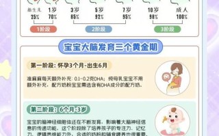 孕期宝宝脑发育高峰期，关键营养怎么补？