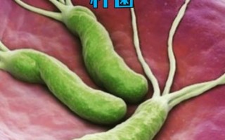 儿童感染幽门螺杆菌是否真的可怕？家长该如何科学应对？