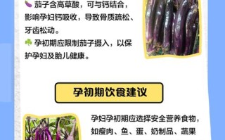 孕期吃茄子真会致流产？科学依据在哪？孕期饮食禁忌茄子为何被列入黑名单？
