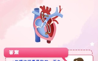 儿童窦性心动过速是什么病？